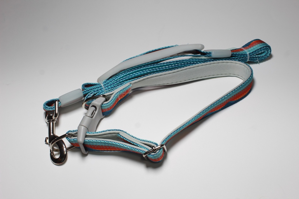 CORREA CON COLLAR